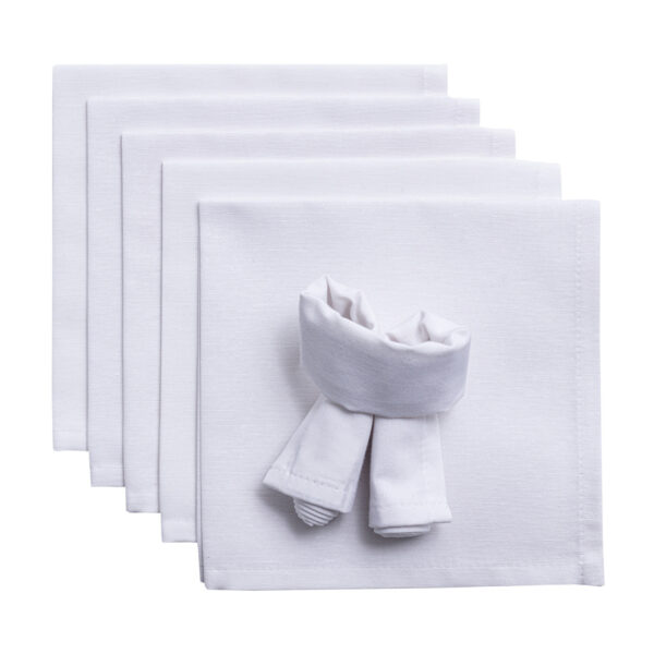 Komplet serwetek 6 szt. 42x42cm Loneta 133-02