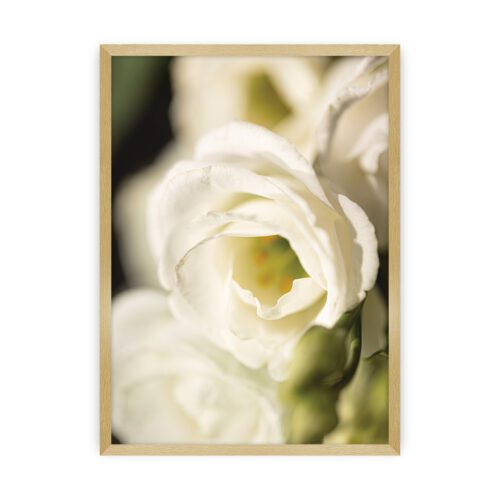 Plakat Flower Wall