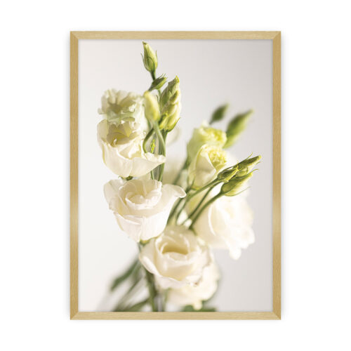 Plakat Elegant Flowers