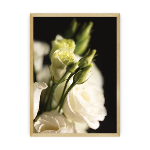 Plakat Dark Flowers I