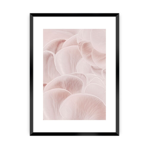 Plakat Pastel Pink I