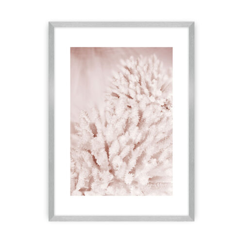 Plakat Pastel Pink II