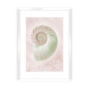 Plakat Pastel Pink III