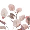 Gałązka Figowa 90cm light pink