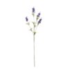 Kwiat Lawendy 61cm dark