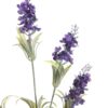 Kwiat Lawendy 61cm dark