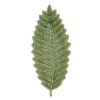 Patera Fern Leaf