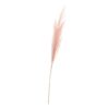 Gałązka Pampas 130cm pink