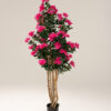 Drzewko Azalea w doniczce 170 cm