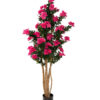 Drzewko Azalea w doniczce 170 cm