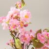 816-934=3 Kwitnące Drzewko Sakura Pink w doniczce 50 cm