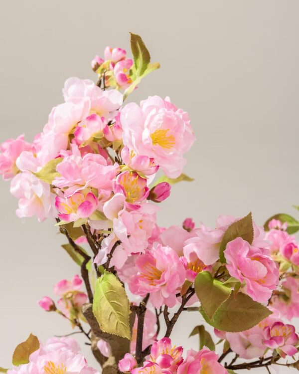816-934=3 Kwitnące Drzewko Sakura Pink w doniczce 50 cm
