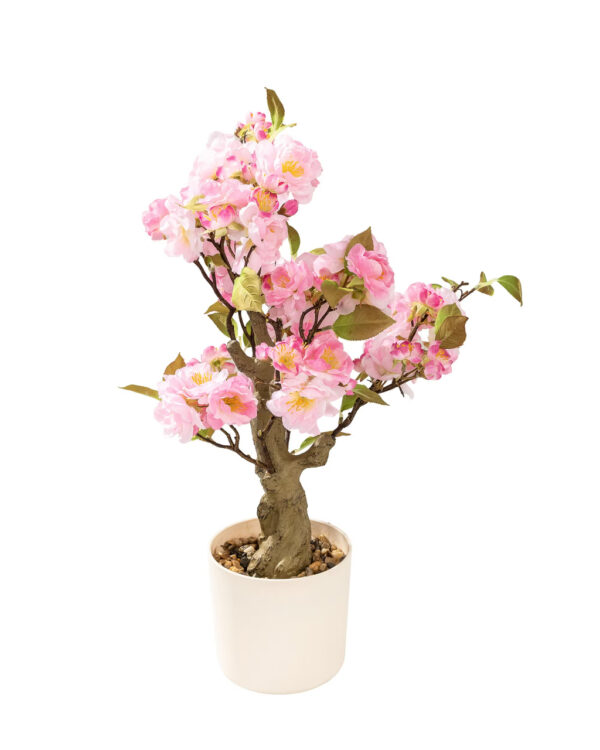 816-934=4 Kwitnące Drzewko Sakura Pink w doniczce 50 cm